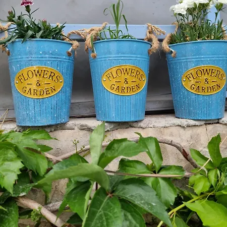 Olea Sigacik & Bistro * Seferihisar