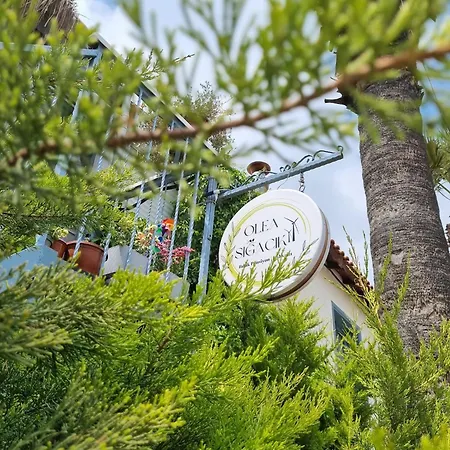 Pangea Sigacik Hotel & Terrace מלון *