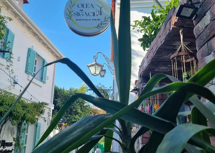 Olea Sigacik & Bistro מלון ספריהיסאר