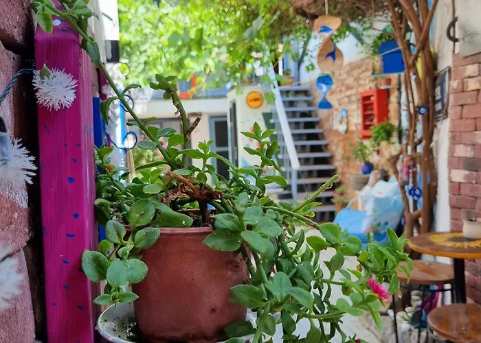 Olea Sigacik & Bistro מלון ספריהיסאר