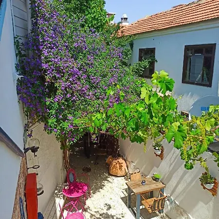 Olea Sigacik & Bistro Hotel *
