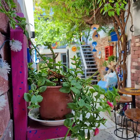 Pangea Sığacık Pansiyon&bistro Otel Seferihisar