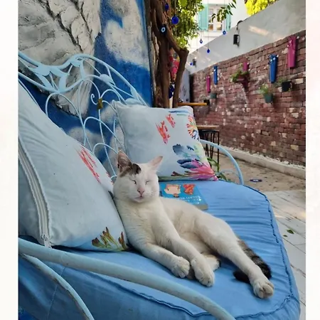 Otel Pangea Sığacık Pansiyon&bistro *