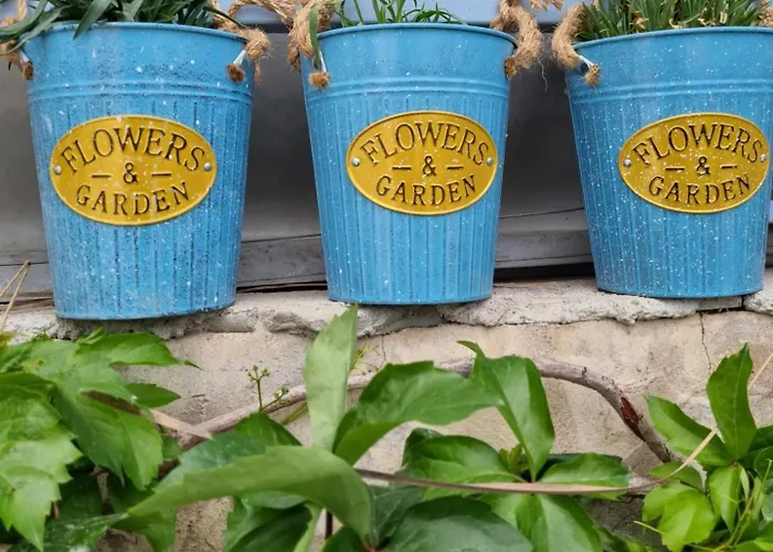 Olea Sigacik & Bistro * Seferihisar