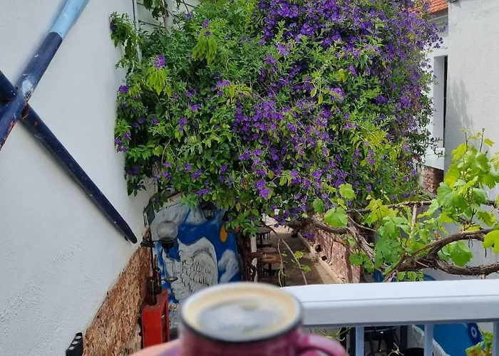 Szálloda Olea Sigacik & Bistro *