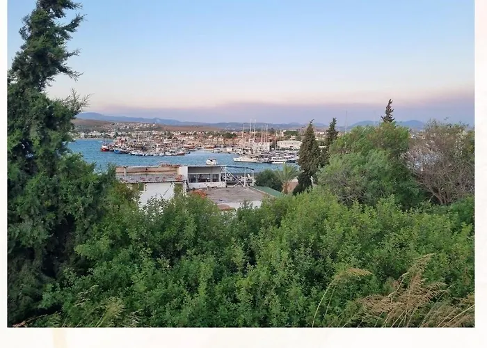 Olea Sigacik & Bistro Szálloda *